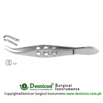 Harms-Colibri Corneal Forcep Very Delicate 1 x 2 Teeth with Tying Platform Stainless Steel, 11 cm - 4 1/4" Tip Size 0.12 mm 